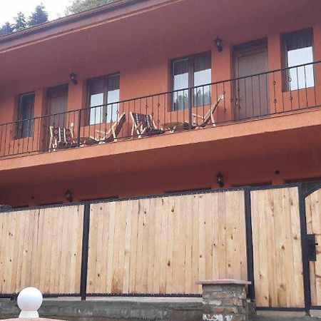Guest House Borjomula 博尔若米 外观 照片