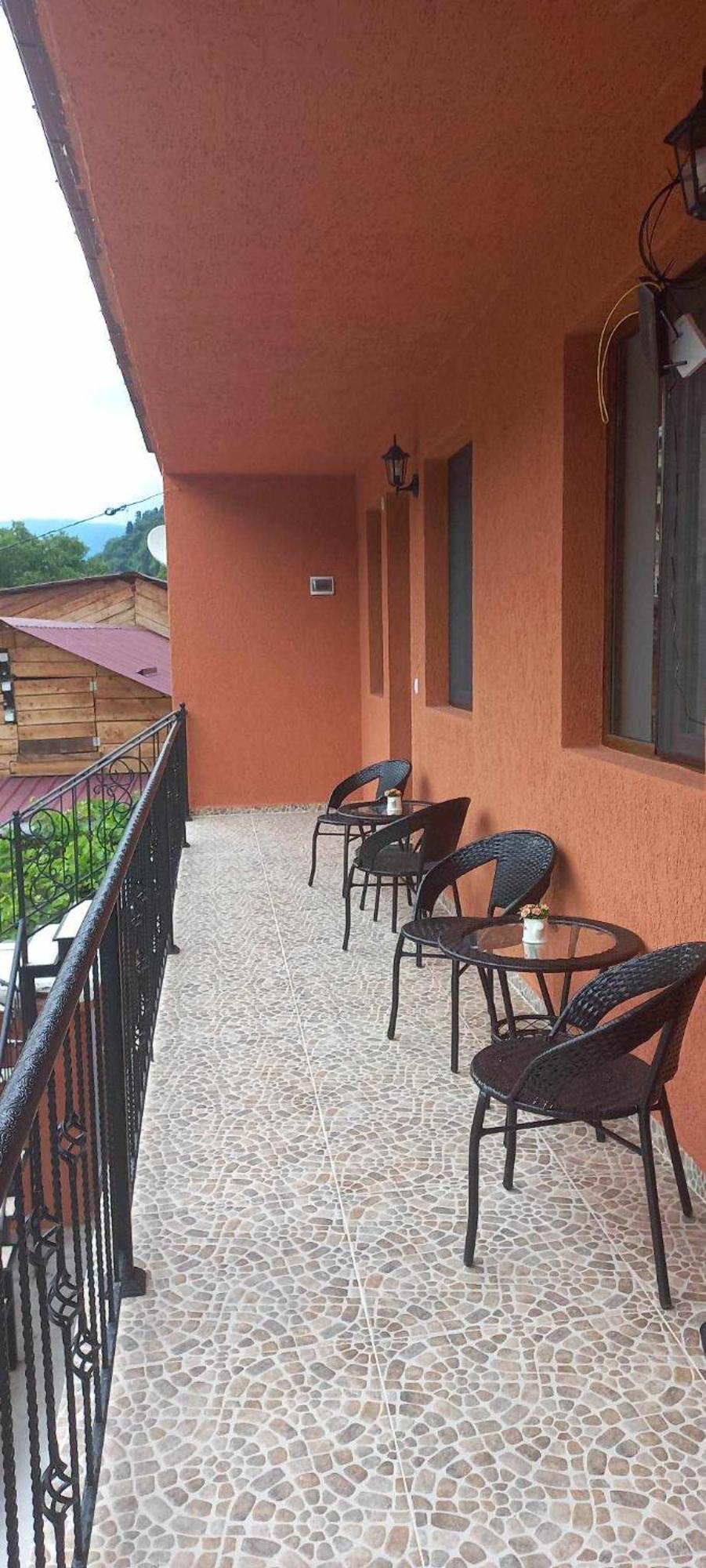 Guest House Borjomula 博尔若米 外观 照片