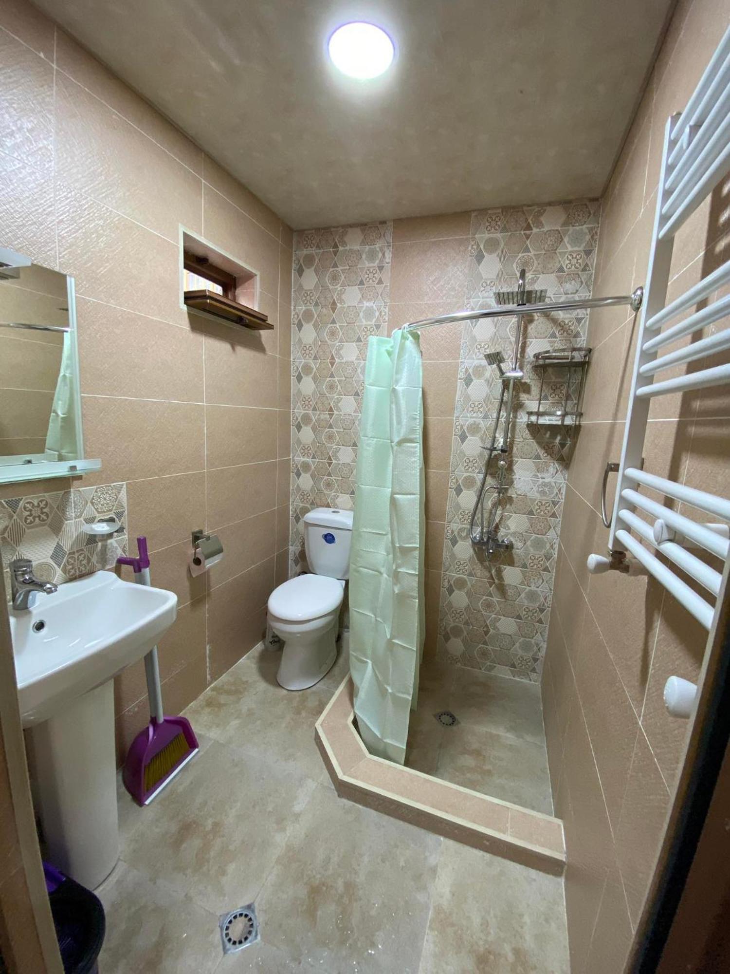 Guest House Borjomula 博尔若米 客房 照片