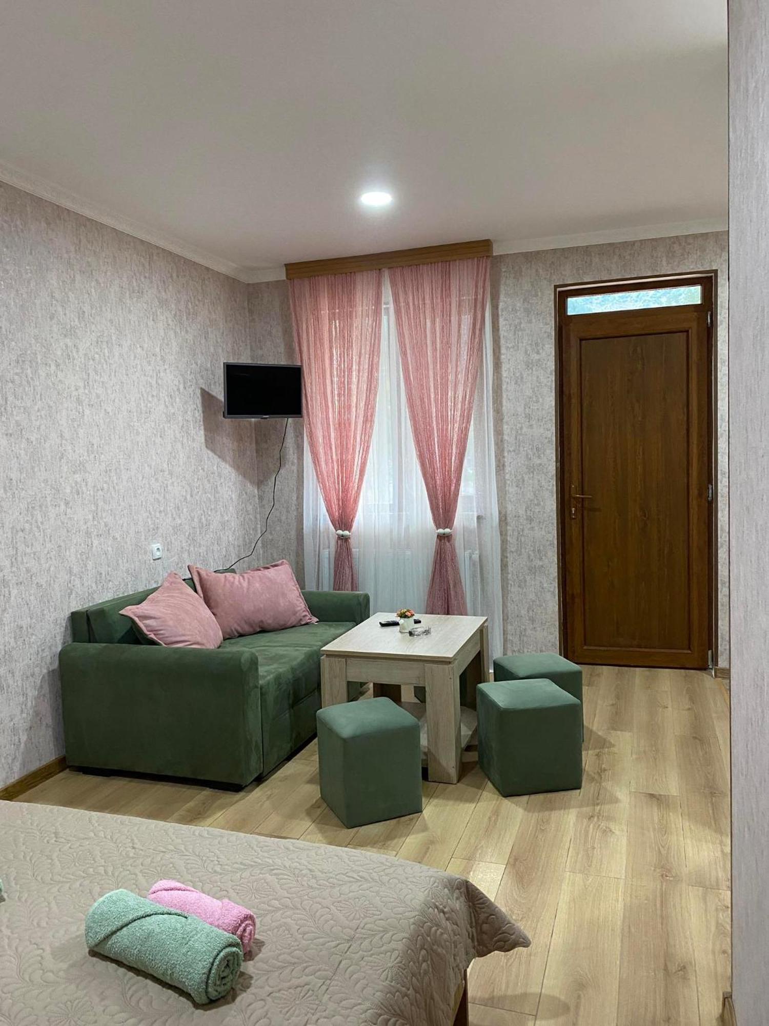 Guest House Borjomula 博尔若米 客房 照片