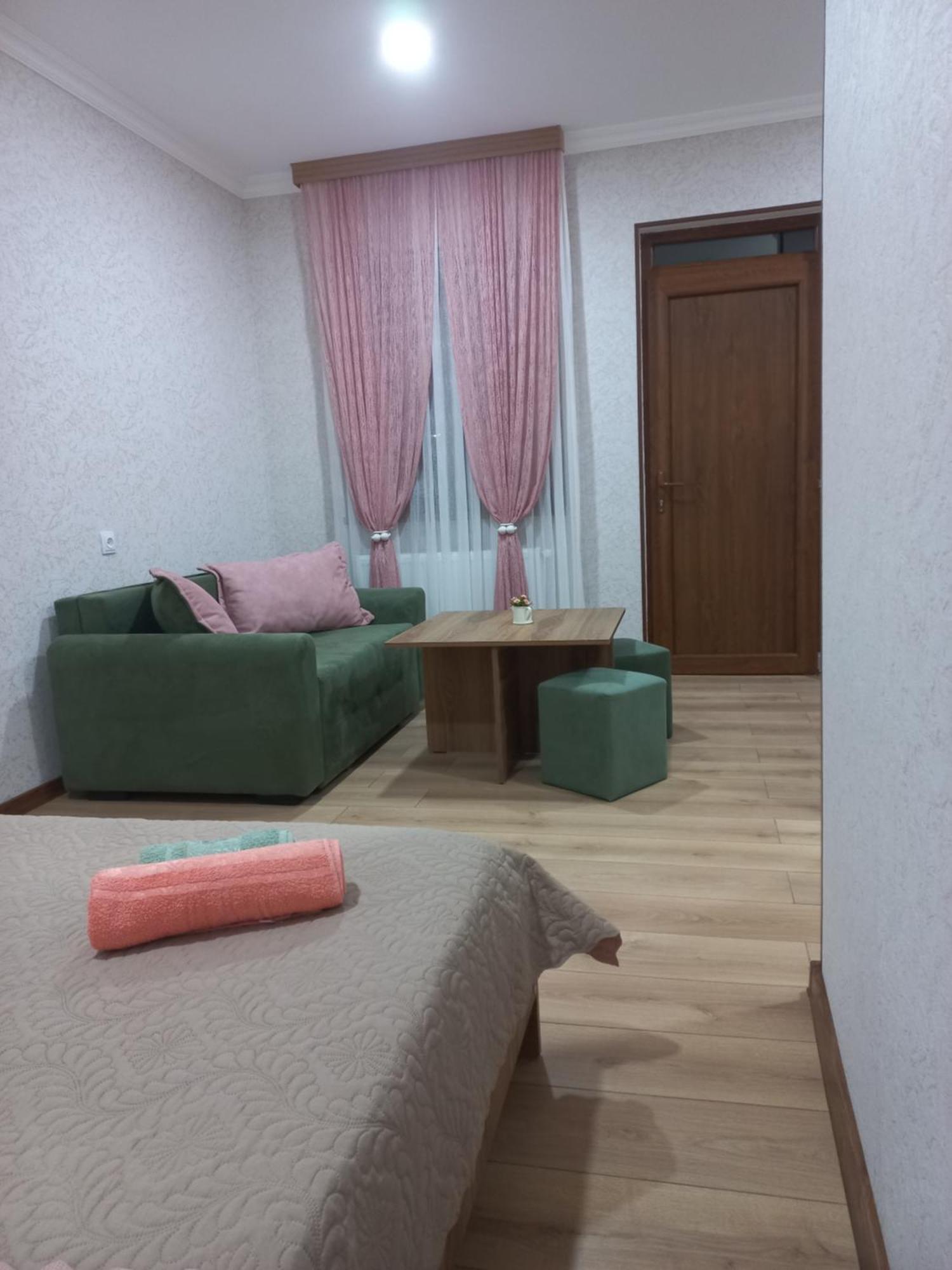 Guest House Borjomula 博尔若米 客房 照片