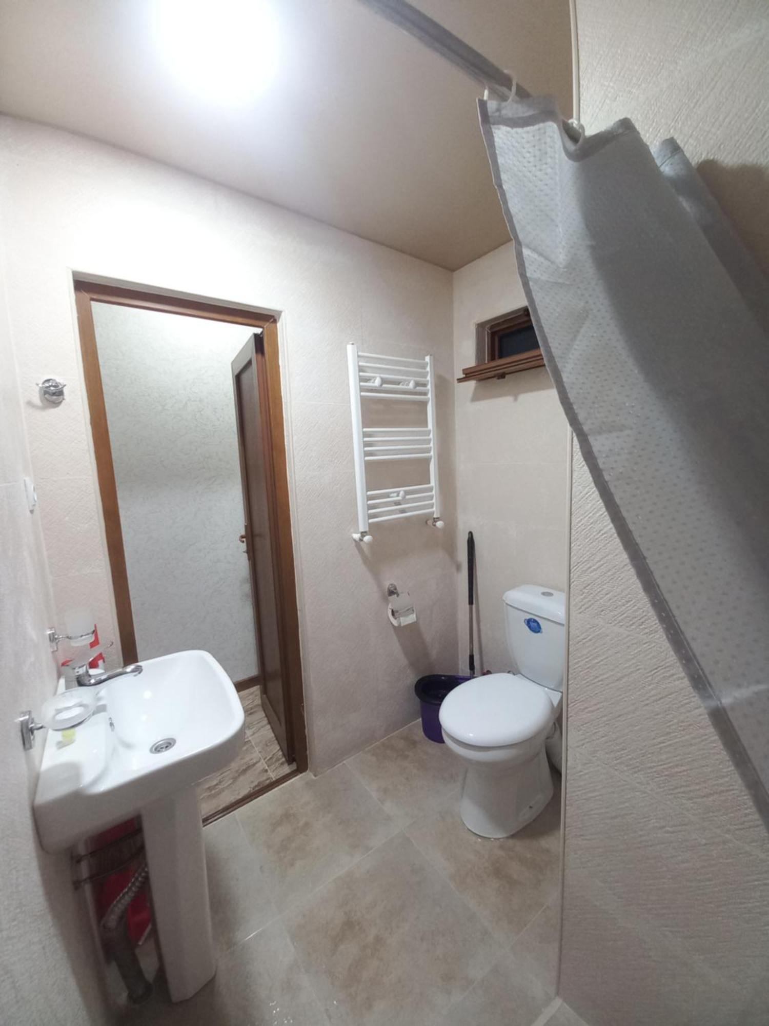 Guest House Borjomula 博尔若米 客房 照片