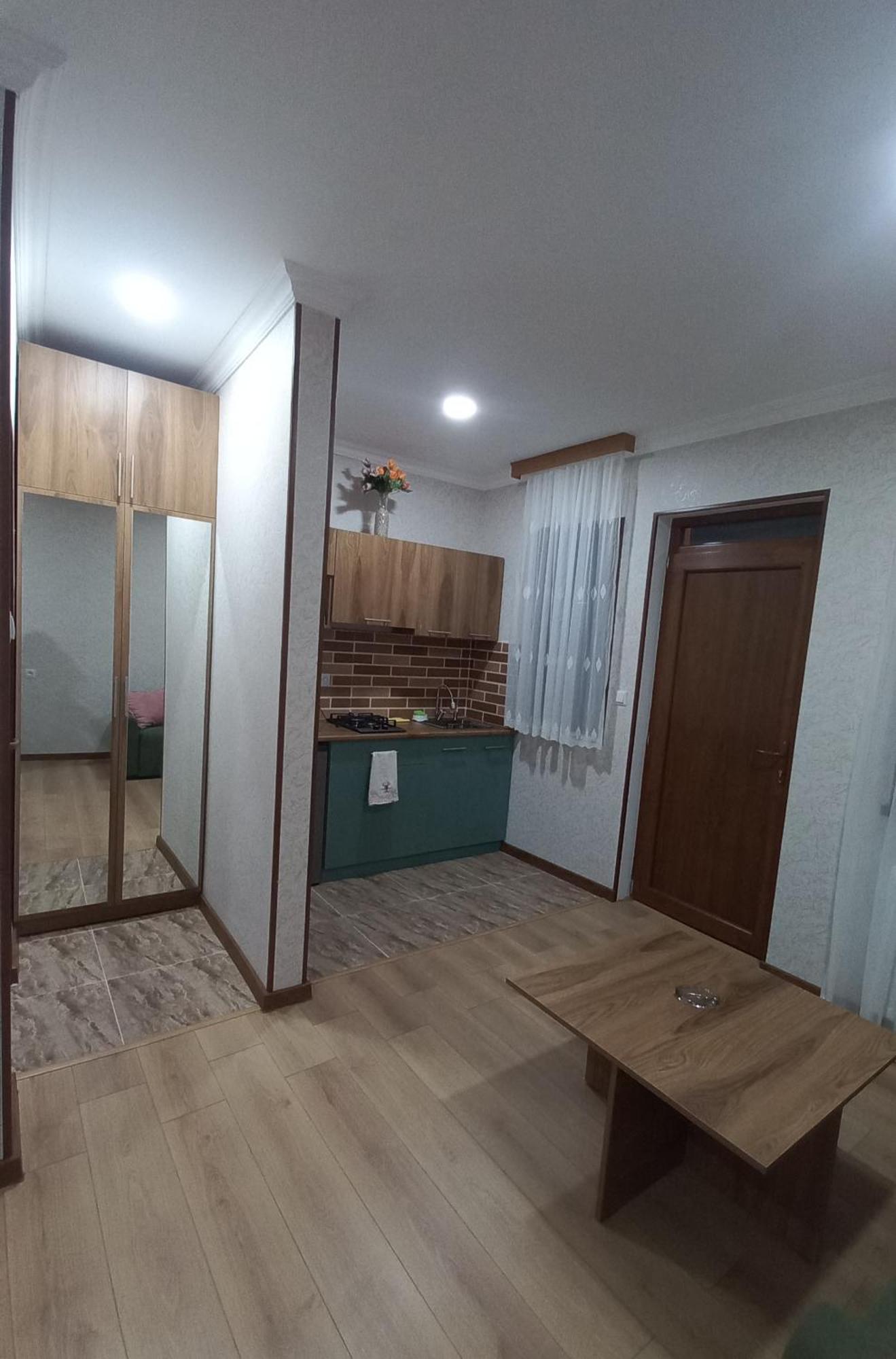 Guest House Borjomula 博尔若米 客房 照片
