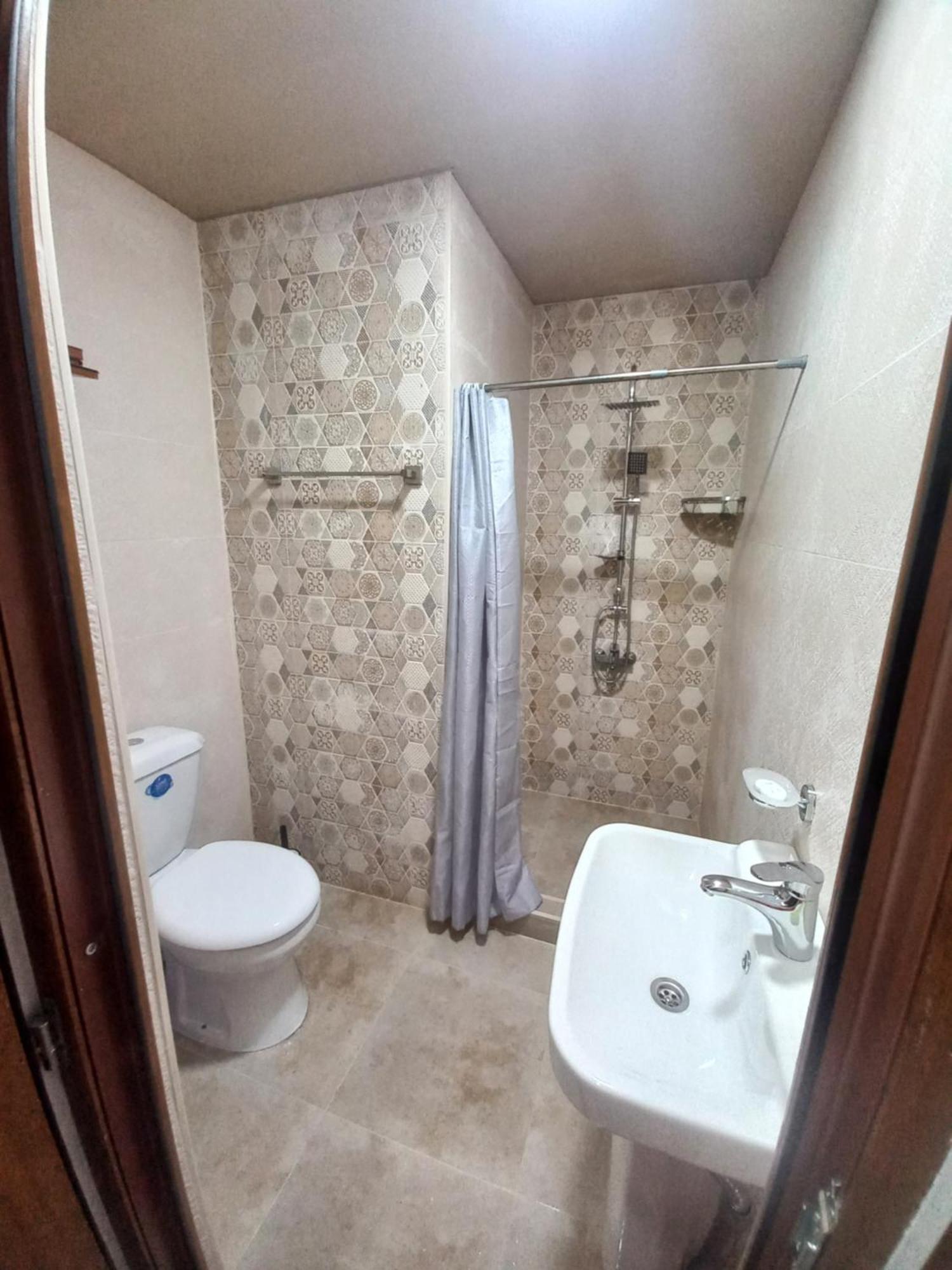 Guest House Borjomula 博尔若米 客房 照片